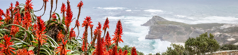 Scenic view from a clifftop looking down at a rocky coastline